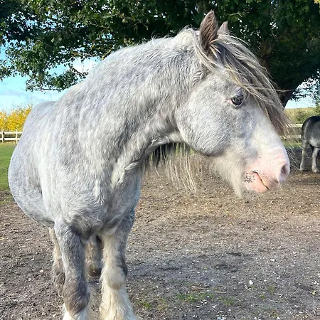 Strandhaus Jack Rackham Teichhof Fehmarn * Wenkendorf