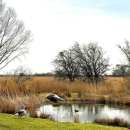 Strandhaus Jack Rackham Teichhof Fehmarn Wenkendorf
