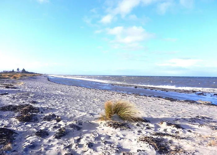 Ferienhaus Strandhaus Jack Rackham Teichhof Fehmarn