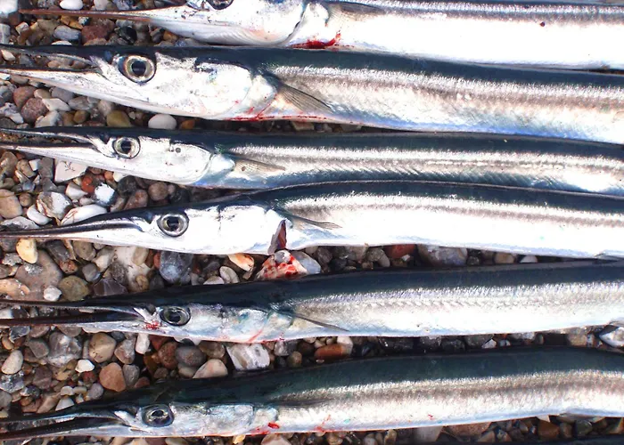 Strandhaus Jack Rackham Teichhof Fehmarn *