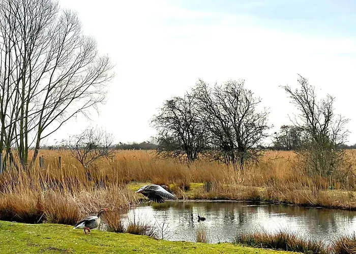 Strandhaus Jack Rackham Teichhof Fehmarn Wenkendorf