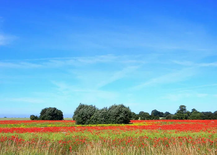 Ferienhaus Strandhaus Jack Rackham Teichhof Fehmarn Wenkendorf